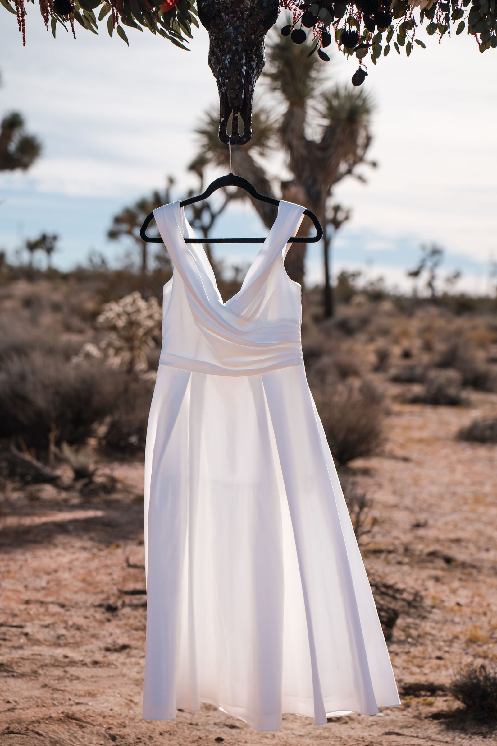 A wedding dress hanging from the branch of a Joshua tree in open desert